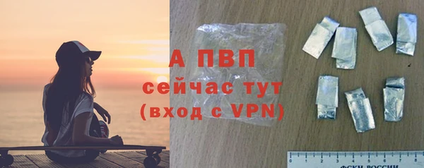 стаф Белоозёрский