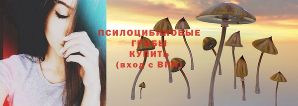 стаф Белоозёрский