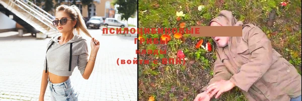 стаф Белоозёрский
